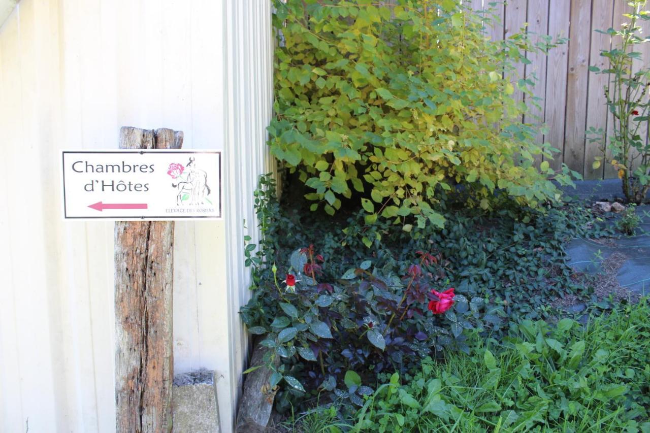 Chambre D'Hote En Vallee Du Loir - Elevage Des Rosiers Bazouges-sur-le-Loir Luaran gambar