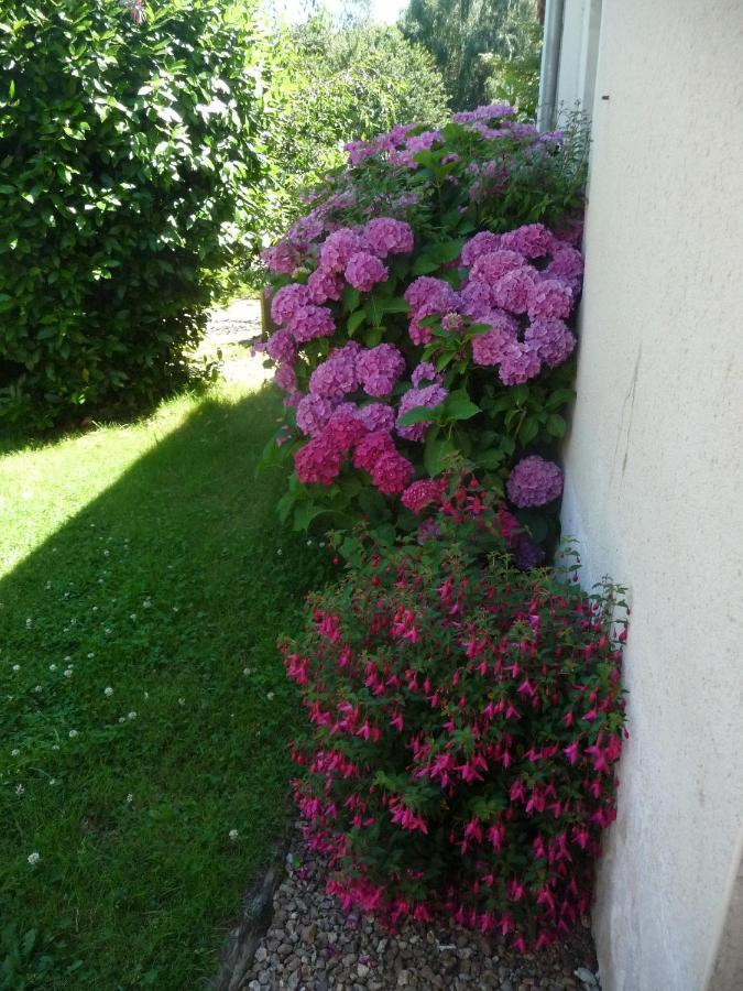 Chambre D'Hote En Vallee Du Loir - Elevage Des Rosiers Bazouges-sur-le-Loir Luaran gambar